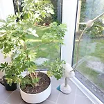 شقة Haus Strandnixe In Sahlenburg *