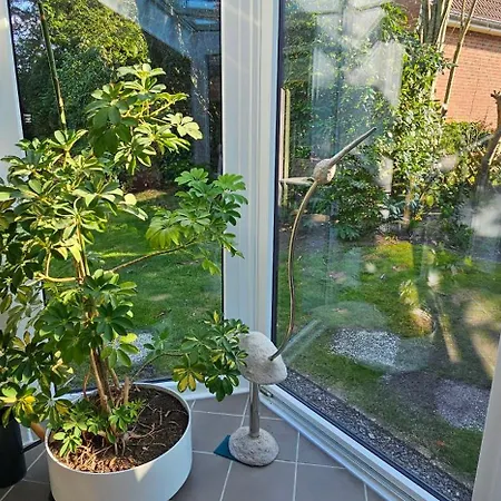 Haus Strandnixe In Sahlenburg *