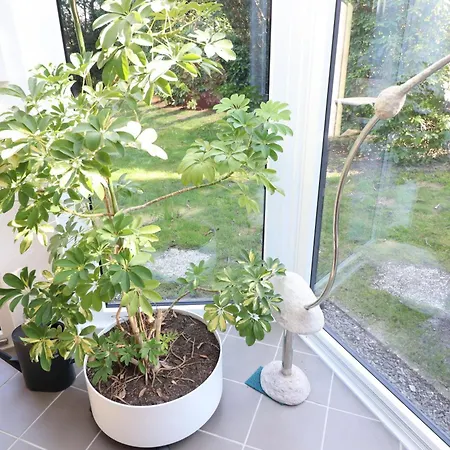 Apartment Haus Strandnixe In Sahlenburg *