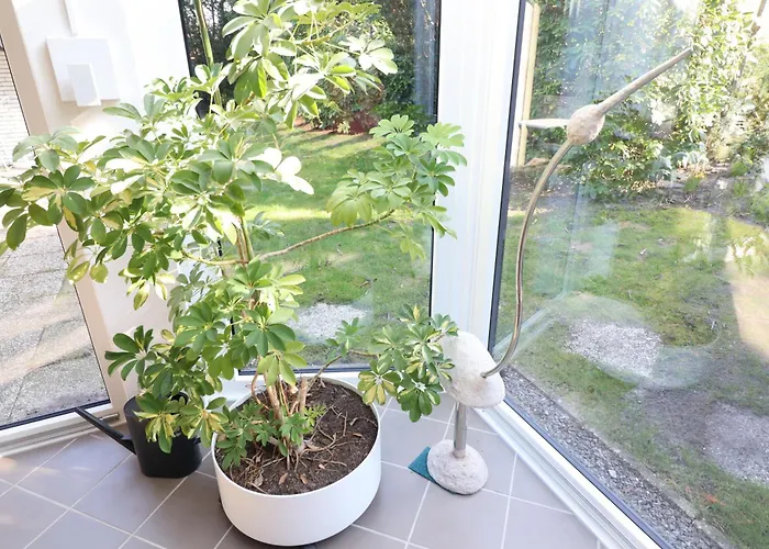 Apartmán Haus Strandnixe In Sahlenburg *